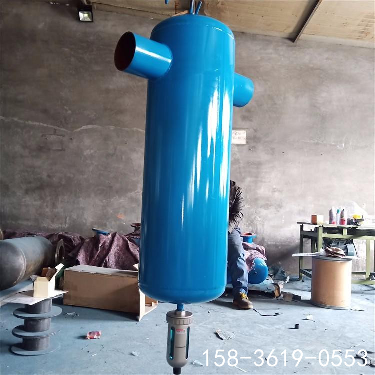 氣體分離器 冷干機配套干燥器無維護(hù)DN200