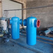 現貨廠家直銷 沼氣蒸汽除水用過濾器